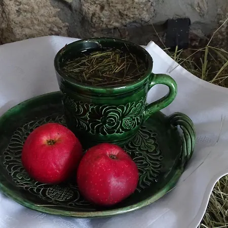 Casa de hóspedes Kowalowe Skaly Spa&more