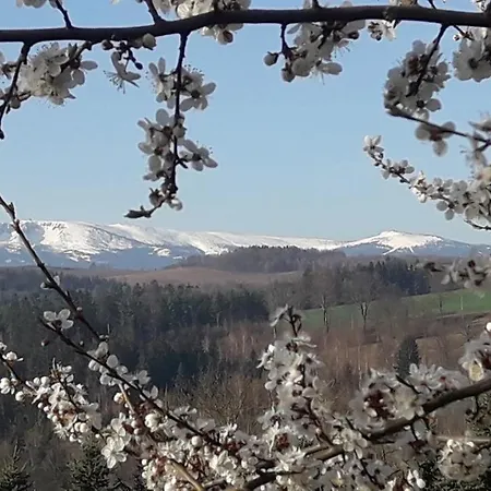 Casa de hóspedes Kowalowe Skaly Spa&more 3*