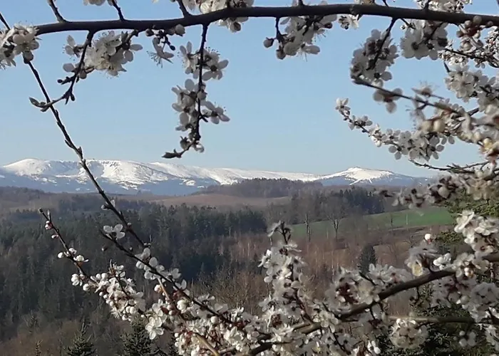 Gasthof Kowalowe Skaly Spa&more 3*